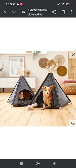 Cort cățeluși sau  pisicuțe de companie
