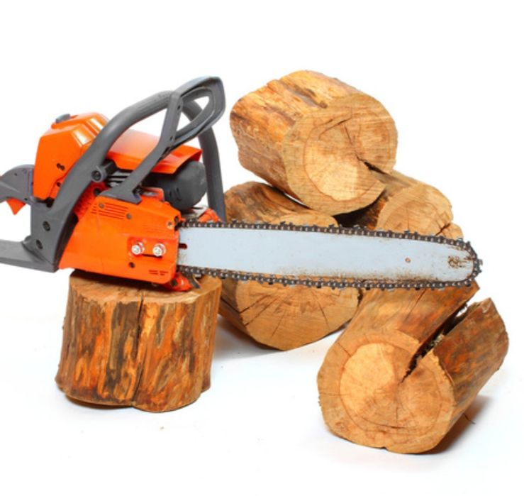 Спилка деревьев.