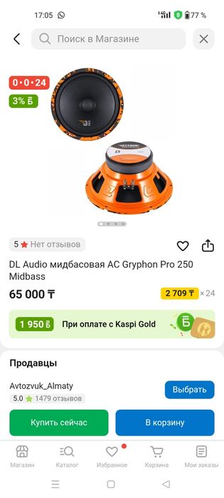 Dl audio  250 midbass