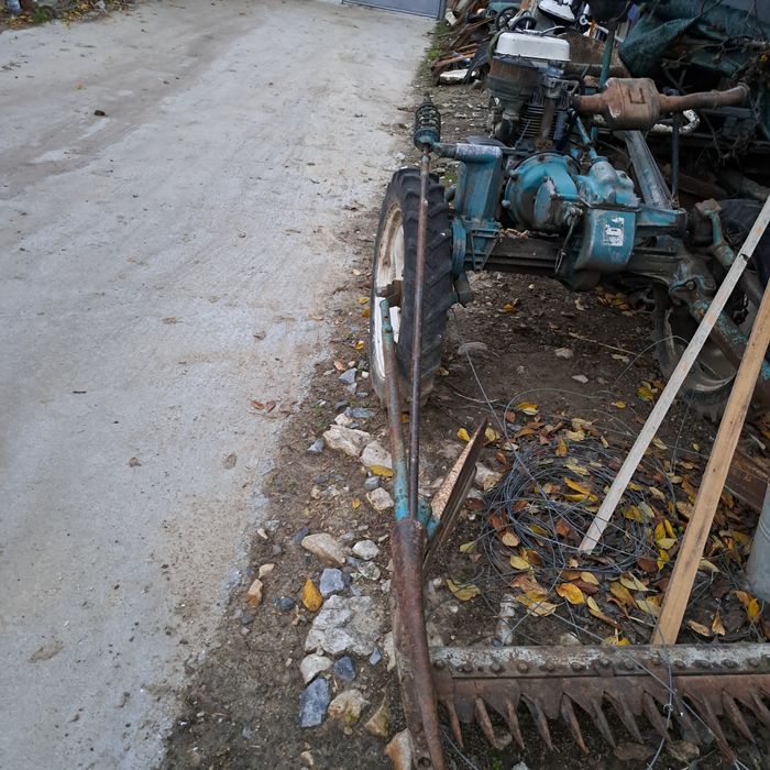 Cositoare lombardini