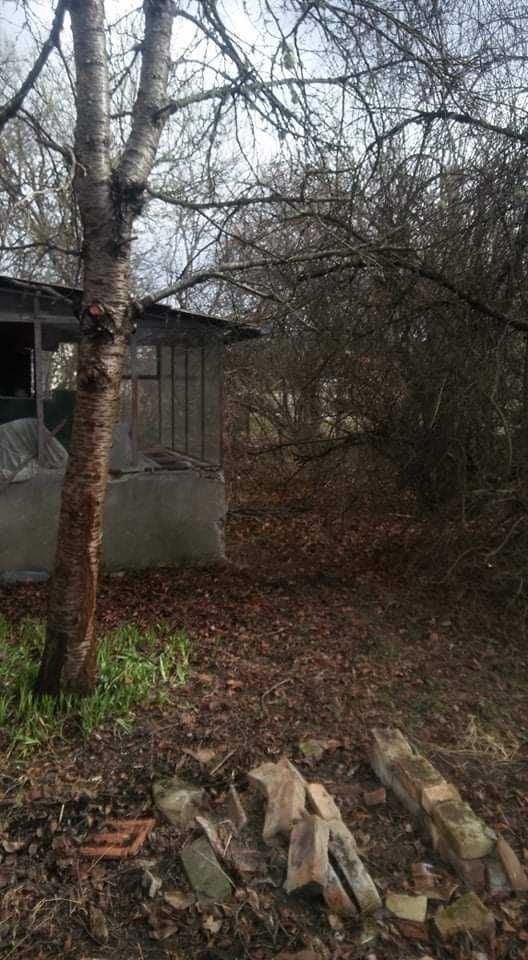Продава се Парцел в с. Поцърненци, Област Перник - 660 кв.м за 29 €/кв.м - Снимка #14