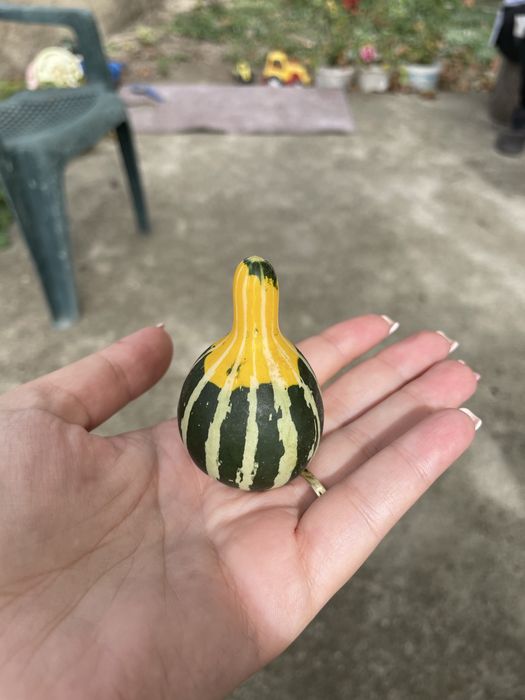 Декоративни кратунки