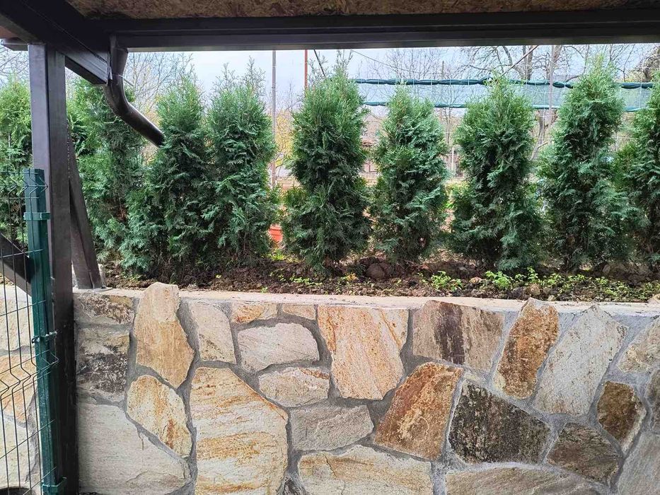 Естествен Камък Плочи Гнайс Големи