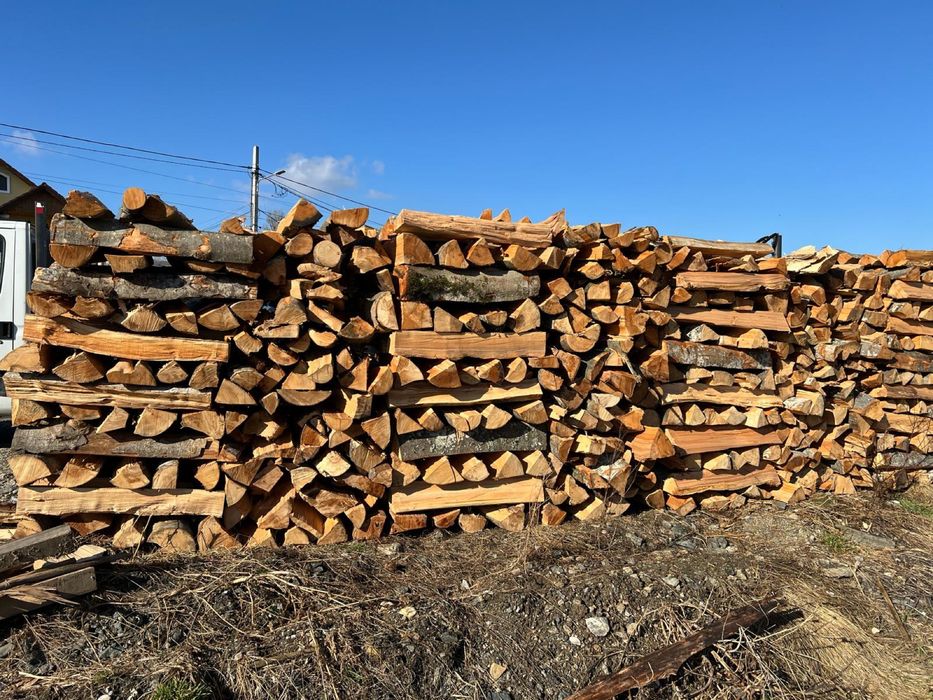 Lemn de  foc fag crapate