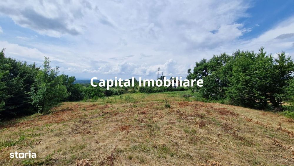 Teren Baia Sprie: 5143 mp, Parcelabil, Comision 0!