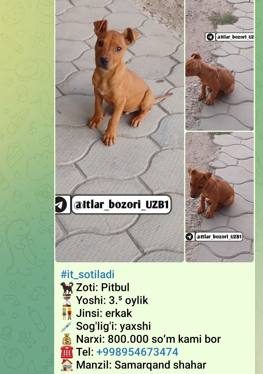 Sotiladi 800 ming