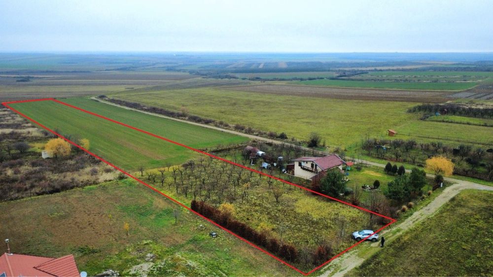 Teren intravilan 1.1 Hectare Viile Satu Mare CF utilitati