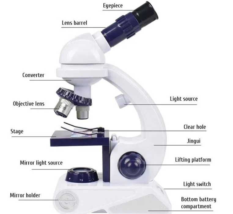 Детский микроскоп с 3 линзами.