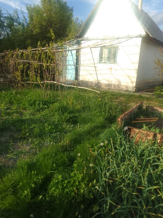 Продажа дач в Текели