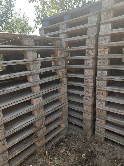 Euro paleti disponibili