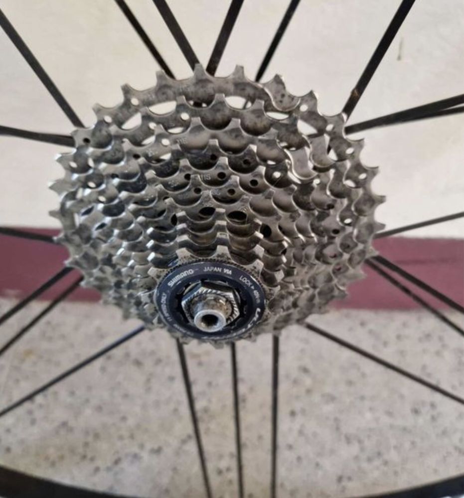 Roti Cursiera Campagnolo Zonda