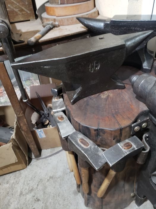 Nicovala GERMANA 1884