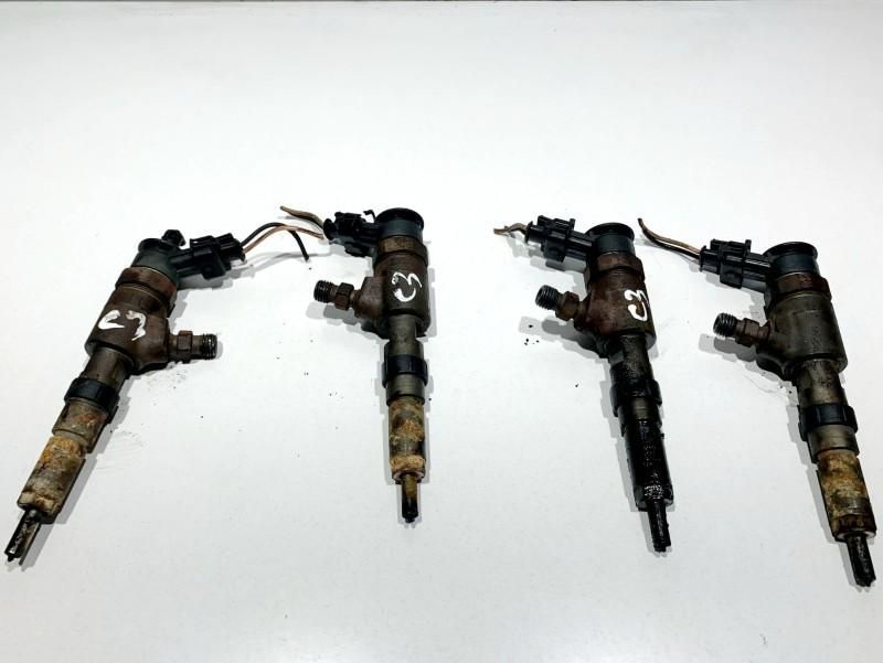 Injector Citroen C3 (2002->) [FC_] 1.4 hdi 8HZ 0445110252