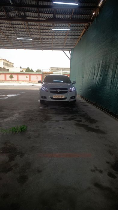 Malibu amerikanka fara