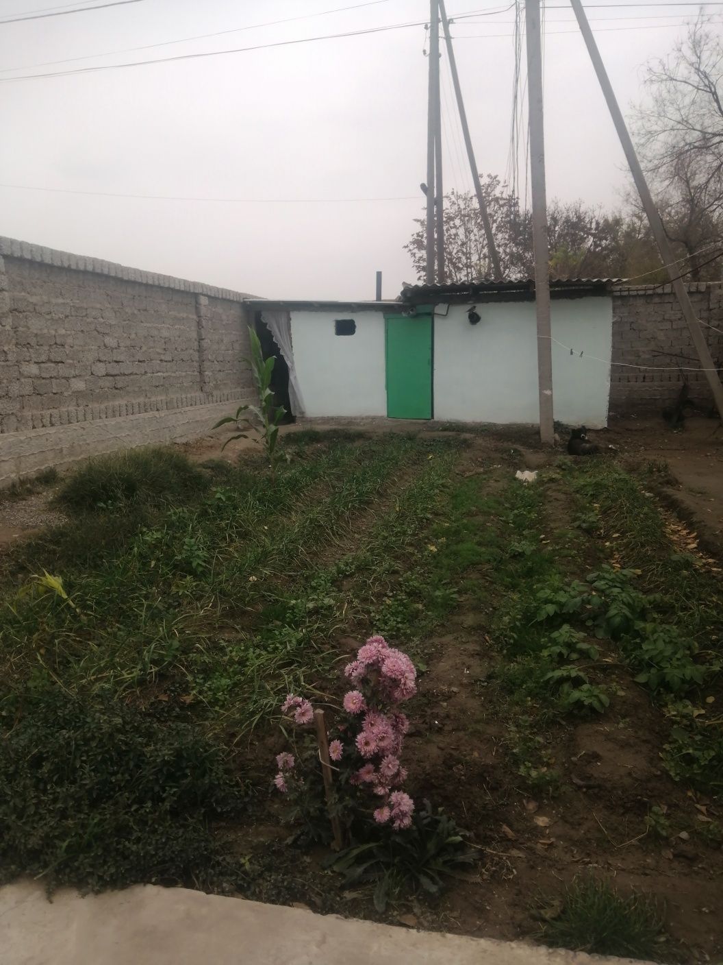 Sirdaryo tumani. Sholikor MFY. Maktab yonida.