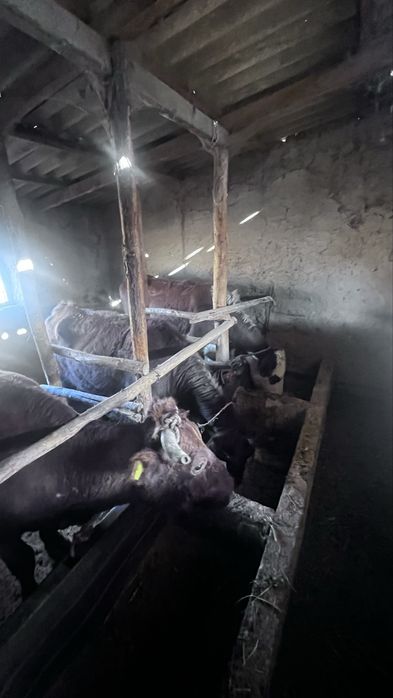 Ассалам алейкумм