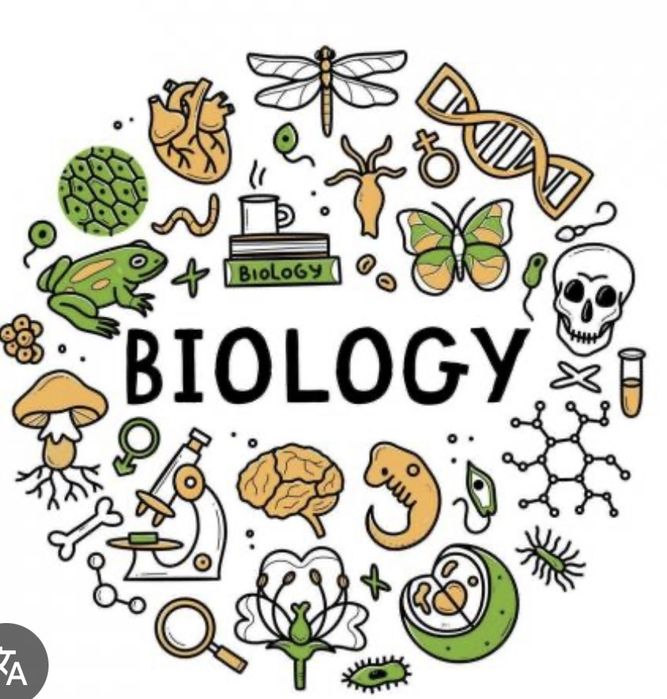 Meditatii Biologie