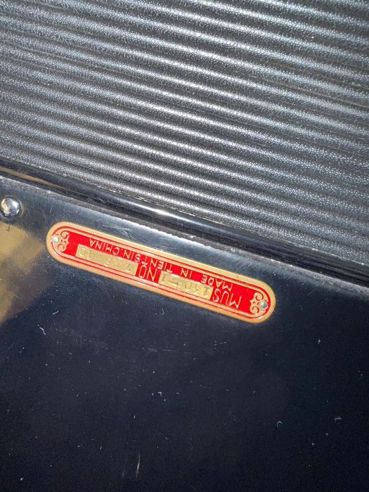 Acordeon Parrot 80 basi + case original