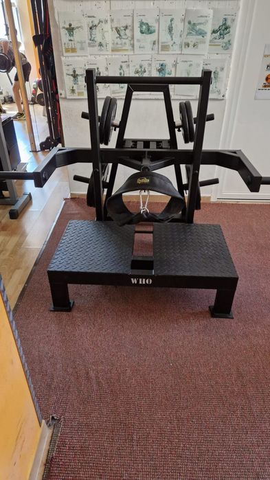 Standing hip thrust profesional aparat fitness pt muschii fesieri