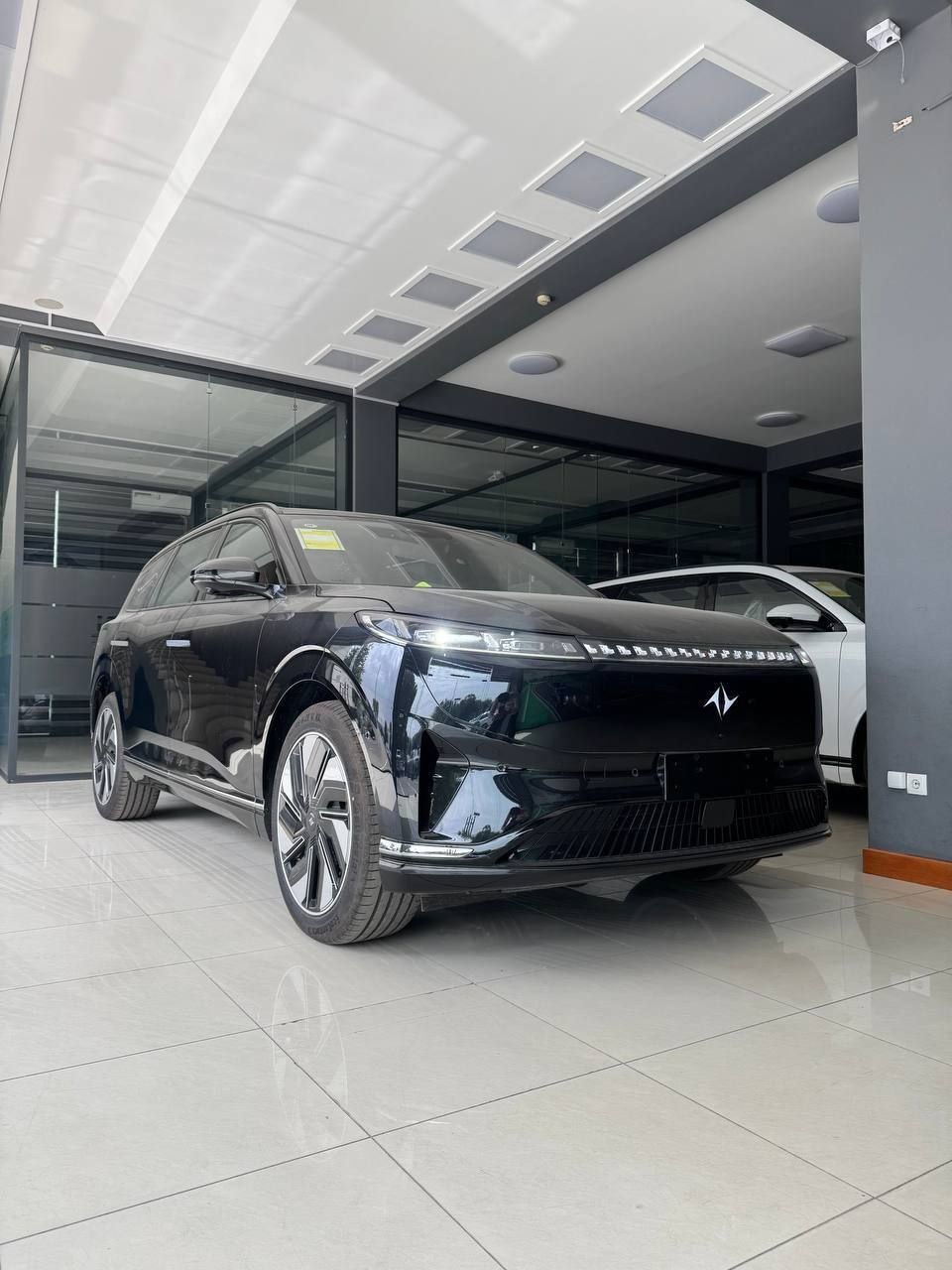 Dongfeng ep 008 max 2025 black orange nataryusga tayor