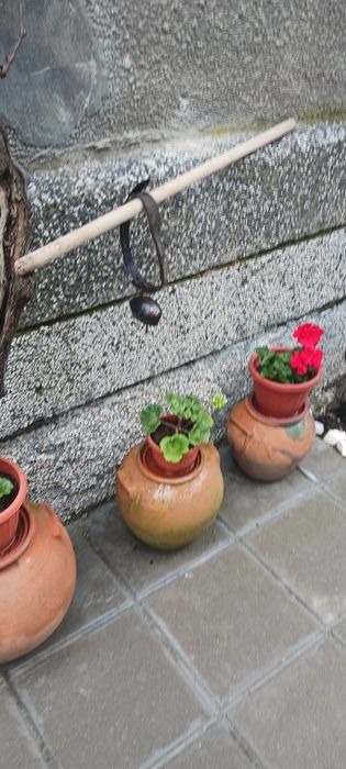 Много красиви стари хлопки