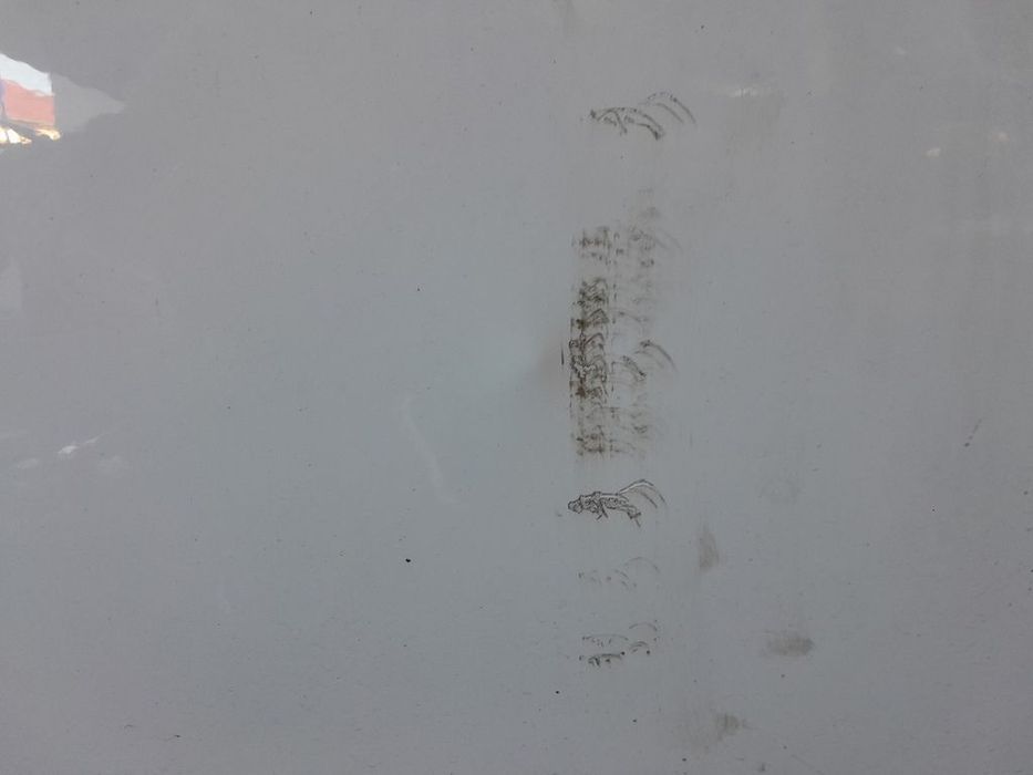 Usa Dreapta Fata Mini Countryman 2010 - 2014 SUV 4 Usi ALB (1088) ZGARIAT