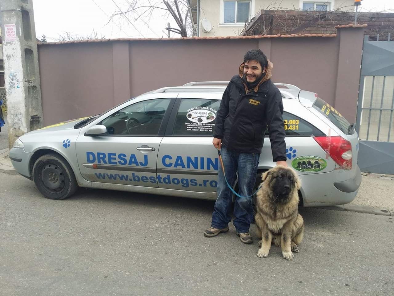 Dresaj canin la domiciliu