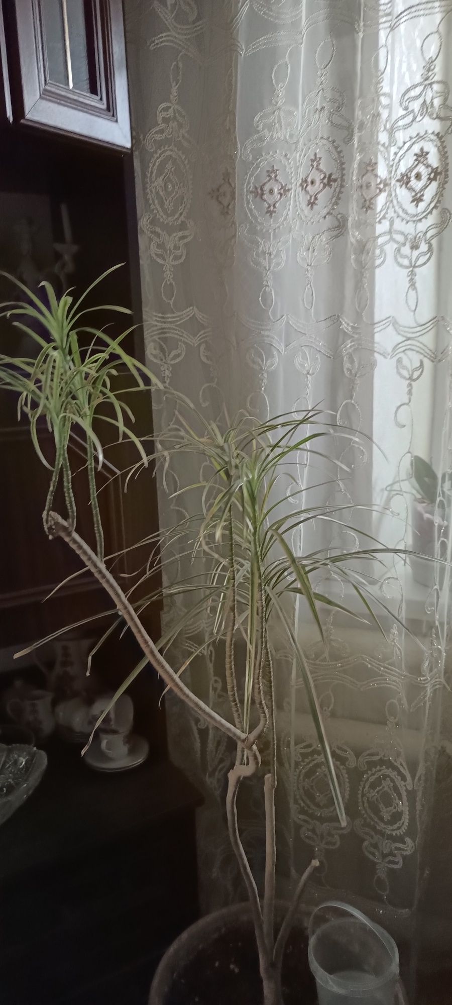 Продам подставку для цветов