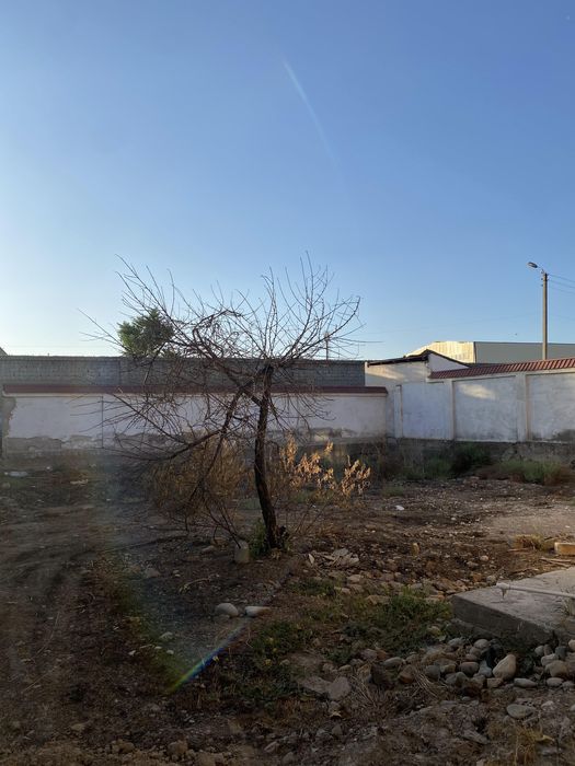 Срочно! Ховли Куйликда !