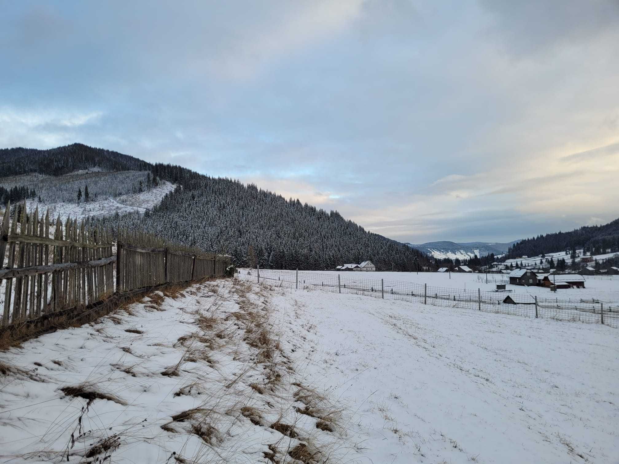 Teren intravilan sat Botos, Bucovina