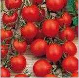 30 Seminte de Tomate Red Cherry - timpurii/ gradina/ balcon