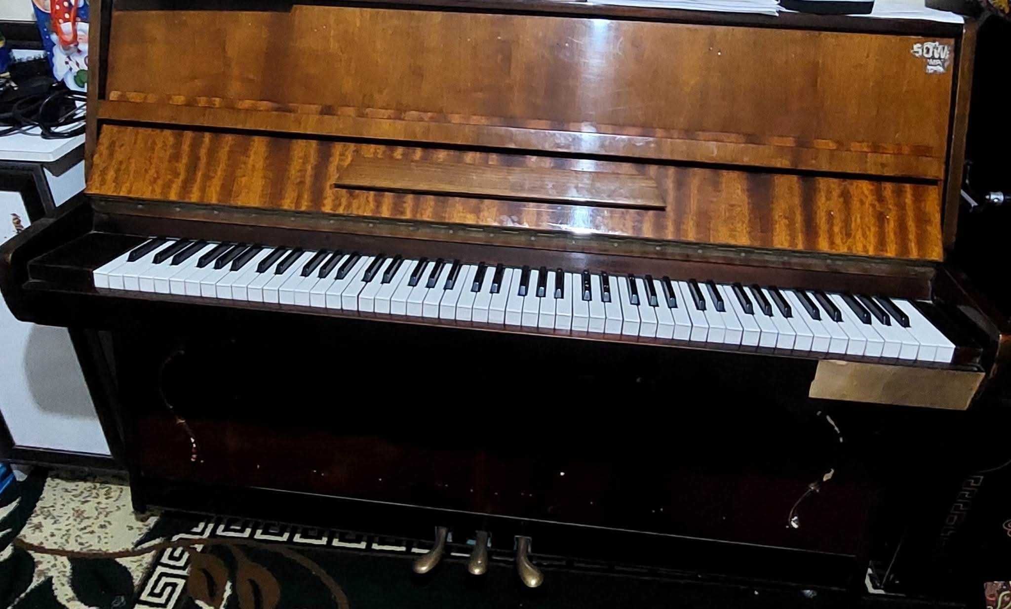 Pianino lastochka