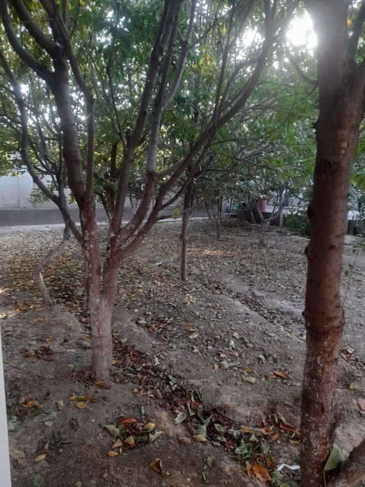 Продается Дом. 4,1- соток. Урта Аул.Махаля Обод.