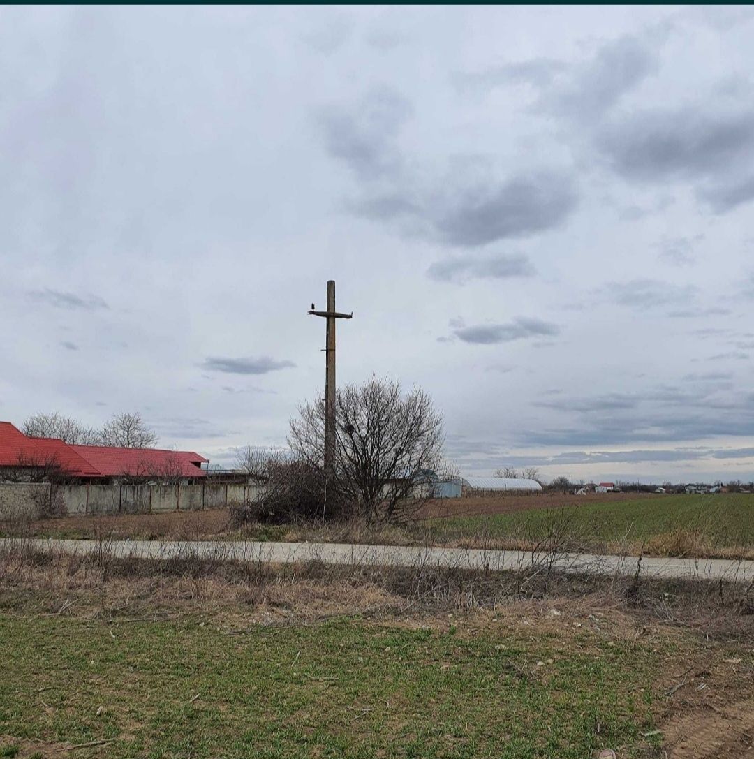 Teren de vanzare, 2800 mp Darăști-Vlașca, la 20 minute de București
