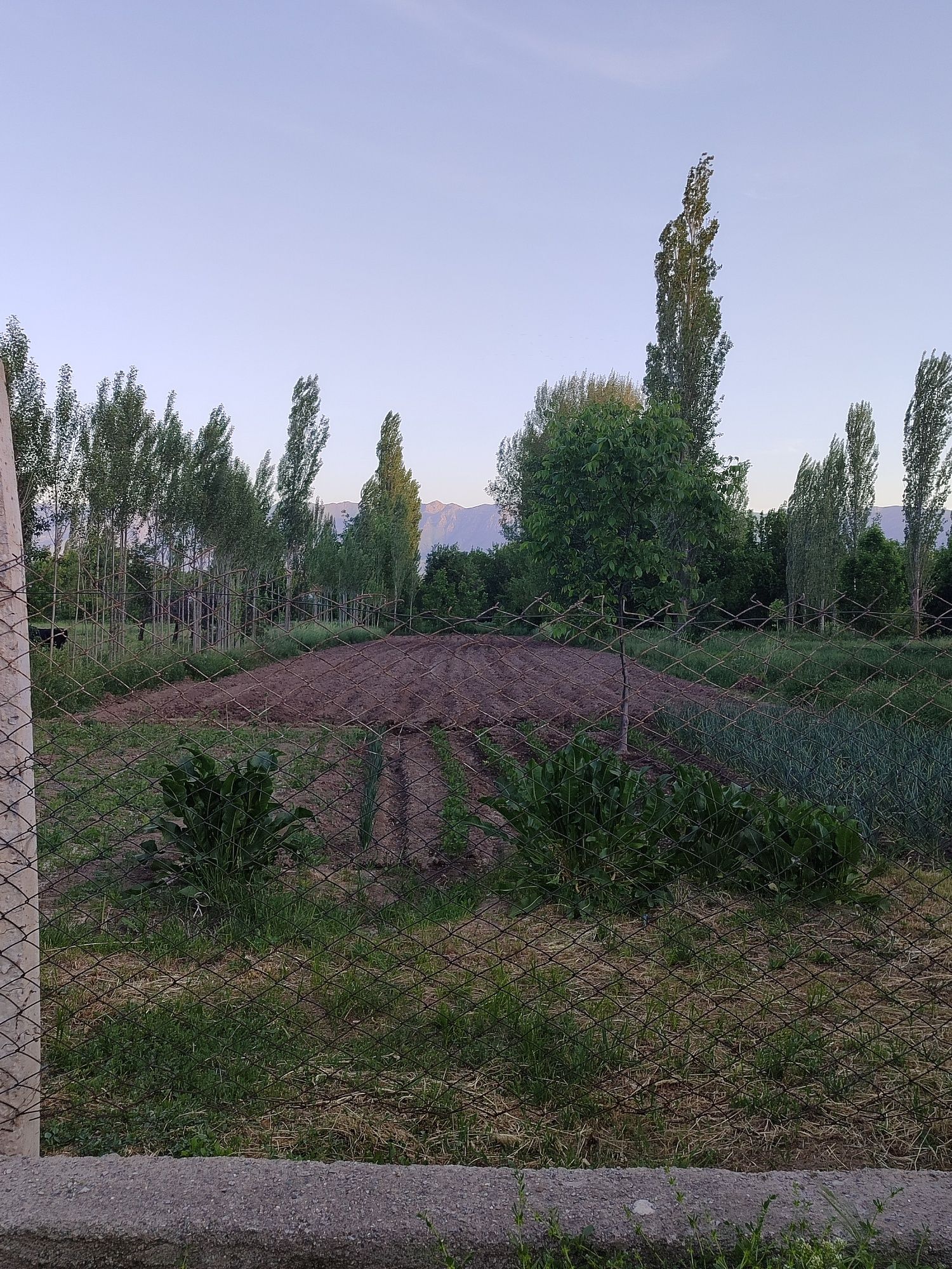 Срочно продаётся дом. Цена договорная