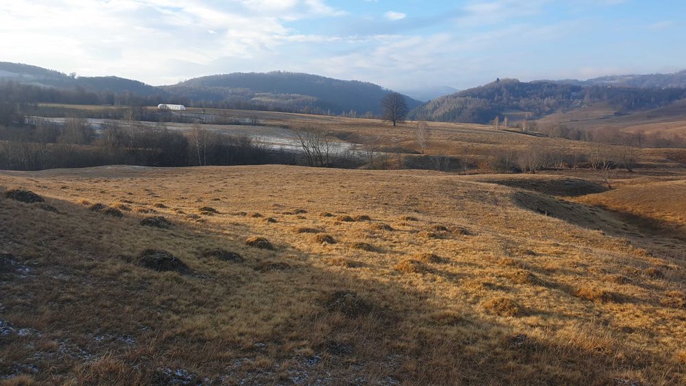 De vanzare teren extravilan in comuna Ciucea ,jud.Cluj