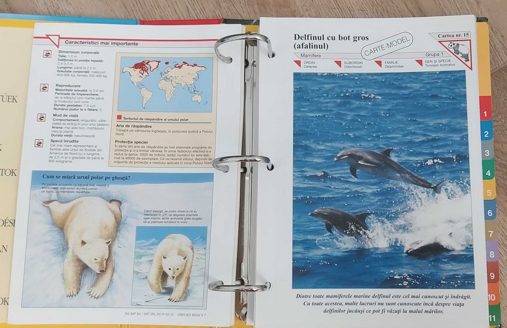 Dosar cu animale in limba maghiara, 25 lei