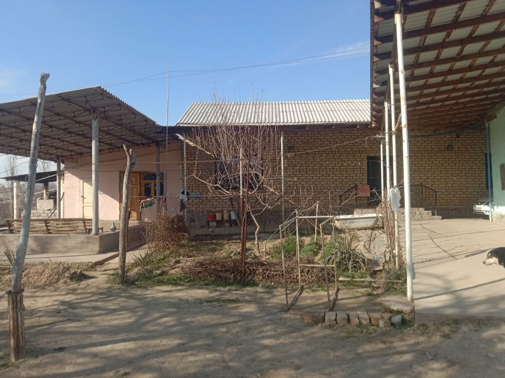 Тайор Уй 25 сотих