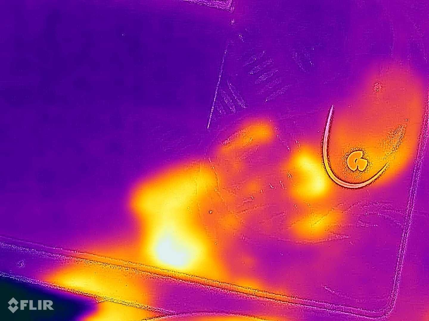 Blackview BV 9900 Pro -camera termoviziune FLIR