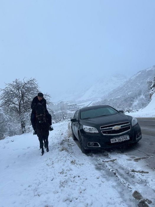 Малибу 1 яхши нархда