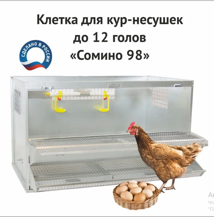 Клетка для кур несушек