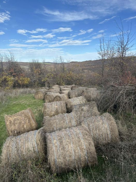 Ролни бали слама