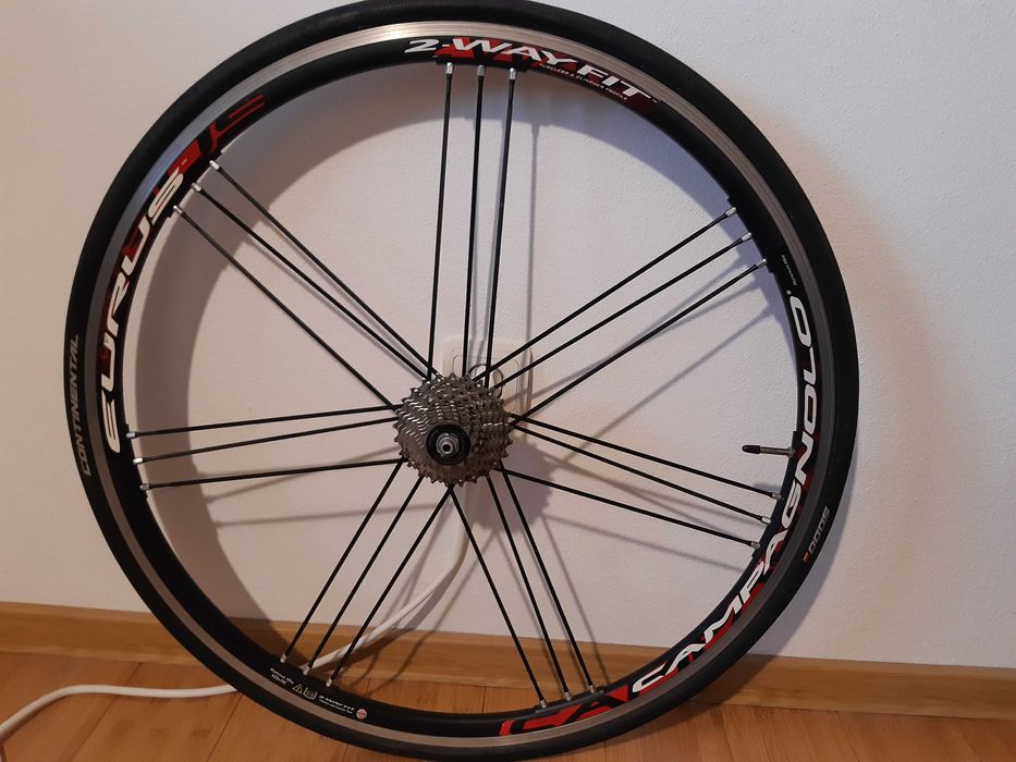 Roti cursiera Campagnolo Eurus 2 way fit