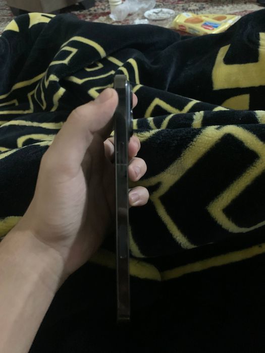 13 PRO MAX 10/10 holat