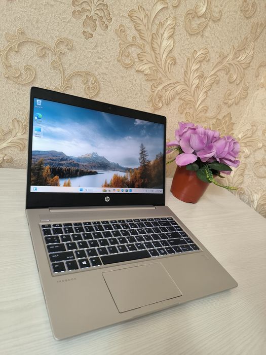 HP ProBook 445 G7