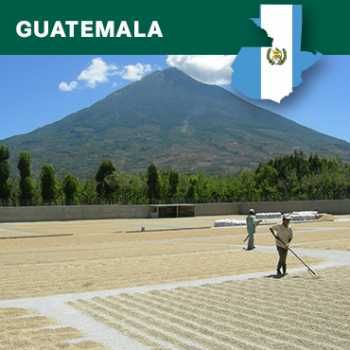 Cafea Verde GUATEMALA Jalapa Finca El Durazno 2021 , Arabica 100%