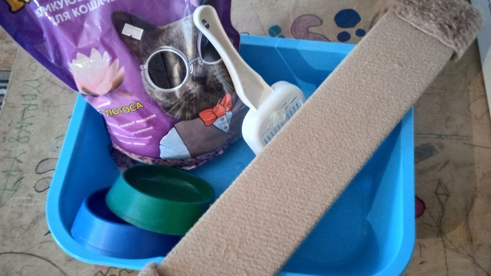 ПРОДАМ! Вещи для кота или кошке  20тыс