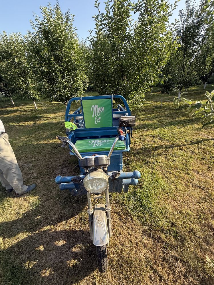 Triciclu electric Cargo Move Eco