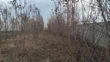 Yir sotiladi 20 sotix. manzil Dahbetga 10 km ер участка