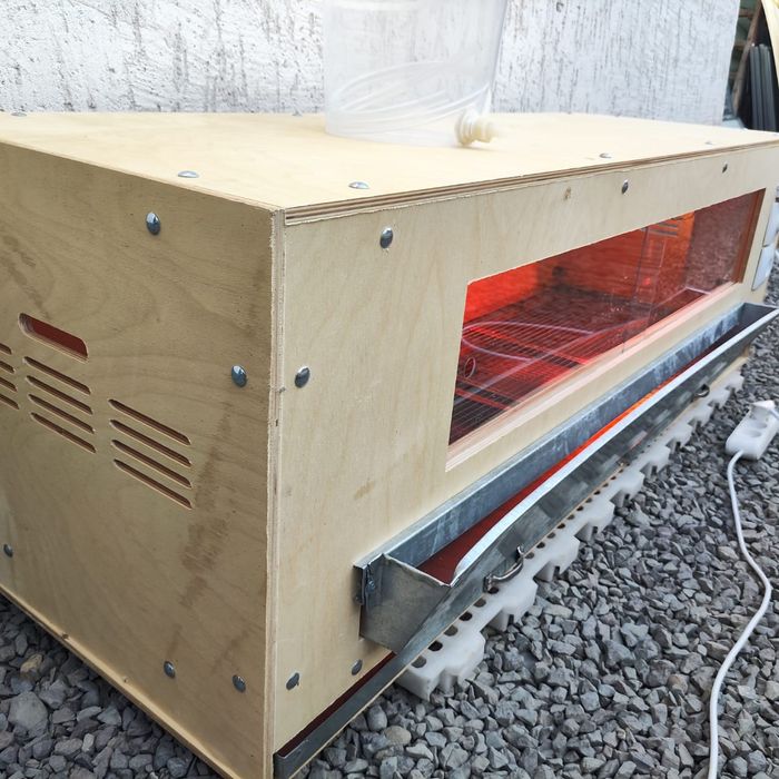 Брудер для цыплят